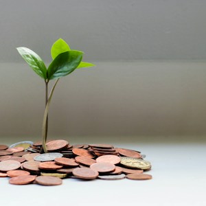 Mid-Career (30s-40s): Growth Mode